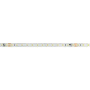 Light Impressions Deko-Light flexibilní LED pásek 2835-78-48V-4000K-50m-Silikon 48V DC 20,50 W 4000 K 1810 lm 50000 840340